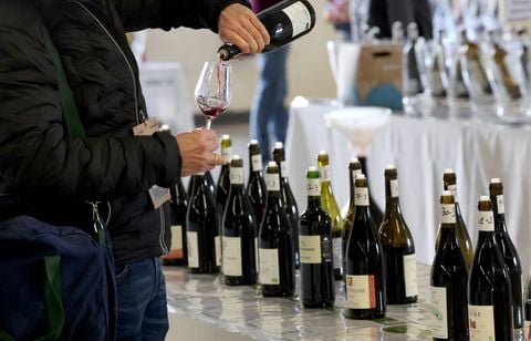 Le secteur des vins et spiritueux perdant et inquiet face aux droits de douane