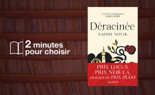 «Déracinée» par Naomi Novik chez Pygmalion (505 p., 19,90€).