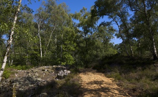 La forêt de la Barre ouvre ce samedi au public.