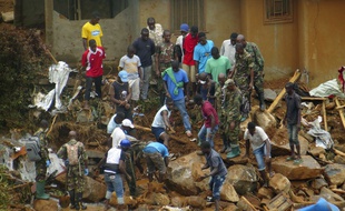 Des volontaires creusent à la recherche des corps après les inondations et coulées de boue à Freetown en Sierra Leone le 15 août 2017.