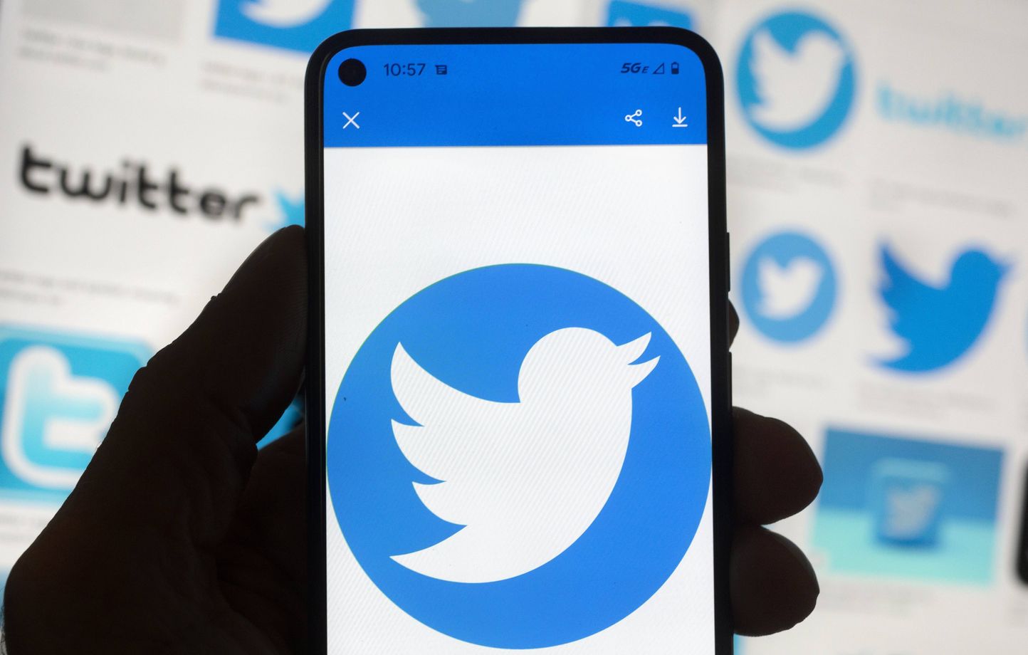 Twitter : La certification payante désormais disponible en France