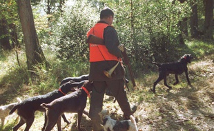 Illustration de chasseur.