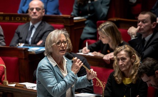 Sophie Cluzel à l'Assemblée nationale, le 11 février 2020.