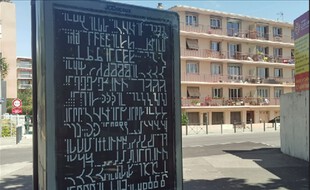 A l'image de Noluck, 50 street-artistes sont exposés sur les panneaux publicitaires de la Montpellier.