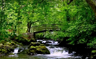 Cascade irlandaise