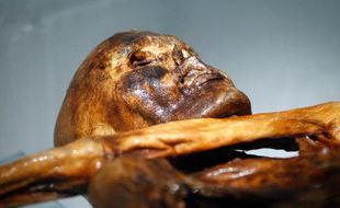 La momie de Ötzi, l'homme des glaces retrouvé dans un glacier alpin en 1991, exposée au musée archéologique de Bolzano, en Italie.