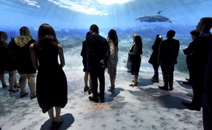 L'Ocean Odyssey, musée du National Geographic sans animaux inspire Norbert Fradin pour son projet d'aquarium bordelais.