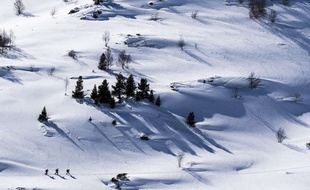 Illustration de skieurs.
