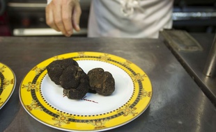 La truffe noire du Périgord représente 95 % de la production en Dordogne