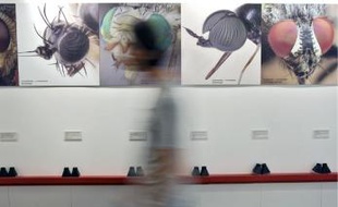 L'expo se veut ludique et instructive.