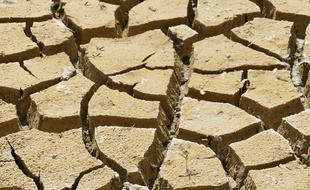Quand la température moyenne mondiale augmente de plus de deux degrés Celsius, notre société franchira un point de non retour.