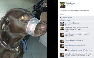 Cette photo du chien de Katie Brown, bâillonné avec du scotch, a soulevé une vague d'indignation sur Facebook aux Etats-Unis.
