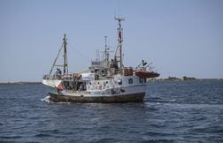 Des militants propalestiniens du Handala entament une grève de la faim