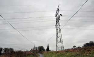La benne a été actionnée sous une ligne 20.000 volts alors que deux enfants étaient dans la cabine du camion, un adolescent et une fillette de quatre ans