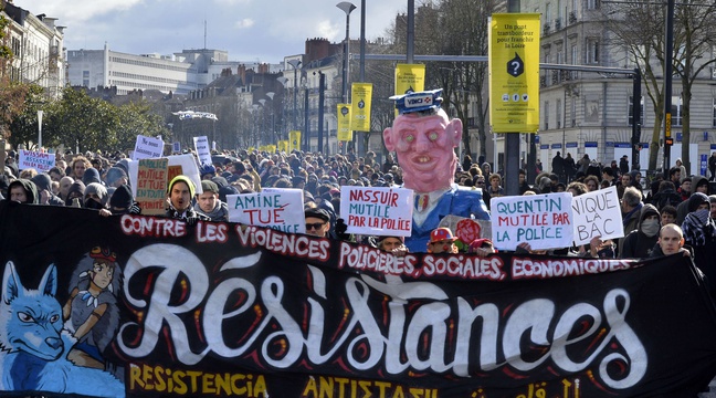 Green Justice Quand La Nature Porte Plainte Nantes: Un manifestant porte plainte contre la police pour insultes