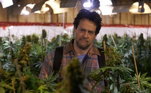 Alexis Martin dans Les mauvaises herbes de Louis Bélanger