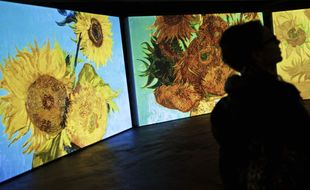 Un homme contemple la série des Tournesols de Vincent Van Gogh