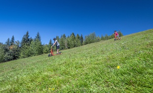 La Trottin'herbe permet de dévaler les pentes en plein été.