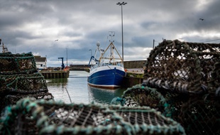 Le port de Kilkeel, en Irlande du Nord.