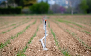 Illustration sur la scheresse et l'irrigation