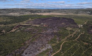 Les flammes ont parcouru 25 hectares ce lundi sur la commune héraultaise de Montbazin.