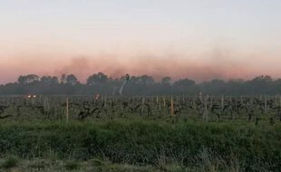 Des opérations pour réchauffer les vignes ont été menées, face à l'épisode de gel qui a touché la Gironde