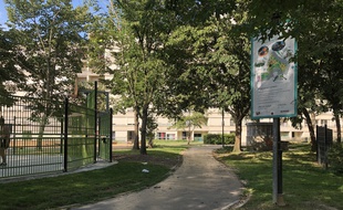 Des habitants du square du Pré Perché s'inquiétaient après la disparition d'un python royal. Il a été retrouvé le 27 juin 2020.