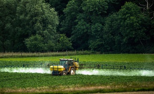 Un agriculteur répand un herbicide dans son champs le 15 juin 2015.