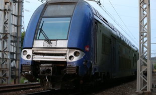Un train TER (illustration)