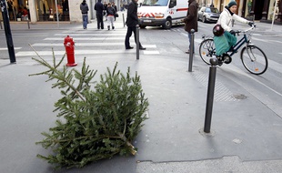 Un sapin abandonné sur le trottoir à Lyon.