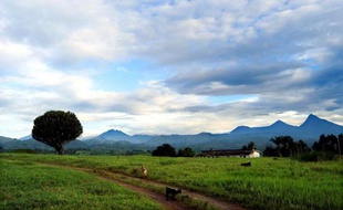 Vue générale d'une chaîne de volcans bordant le parc national des Virunga, en République démocratique du Congo, en 2013