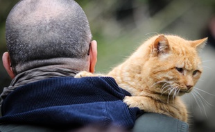 Des patients de l’institut de victimologie suivent un programme de thérapie avec des animaux du refuge Ava