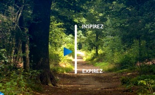 Inspirez ! Expirez ! Le curseur de l'application Mood Up! évolue pour guider le rythme respiratoire du patient en état de stress post-traumatique (PST)