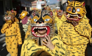 Parade de "tigres" lors de la fête de la "Trigrada" le 15 août 2015 à Chilapa, dans le sud du Mexique
