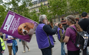 Le parti animaliste surprend