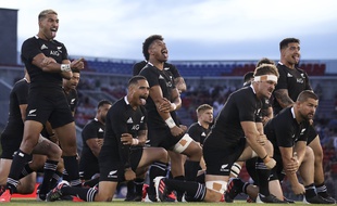 Coupe du monde 2023 : Les All Blacks et le Japon fouleront la pelouse du Stadium toulousain (Archives)