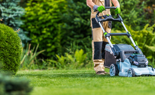 Découvrez les meilleures offres Jardin et Maison à l'occasion du Prime Day Amazon