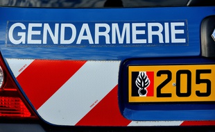 L'individu a été interpellé mercredi à son domicile par les gendarmes