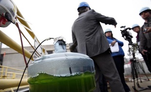 Les micro-algues, source de biocarburant pouvant se substituer au pétrole, devraient bientôt voir leur potentiel se libérer grâce à des investissements et des technologies innovantes d'extraction, jugent des experts aux Etats-Unis.