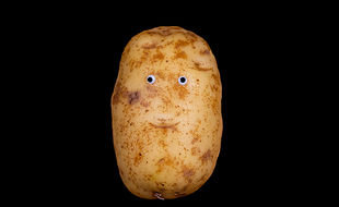 Huit tonnes de pommes de terre offertes aux étudiants, ça file la patate, non?
