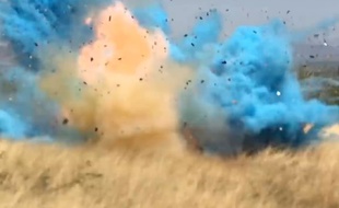 Un gender reveal qui a mal tourné.
