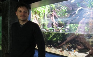 Le Parisien Benoît Chartrer a lancé Fishipedia, encyclopédie en ligne dédiée aux poissons. Sa façon de participer à une prise de conscience écologique. / Photo prise à l'aquarium de la porte Dorée