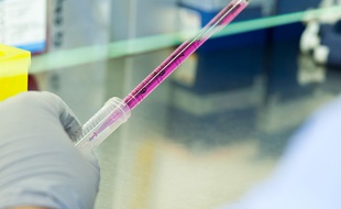Une expérience de laboratoire. Illustration.