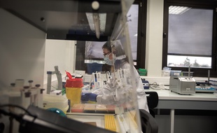 Une zone de tri et séquençage des tests Covid à l'hôpital Henri-Mondor de Créteil.