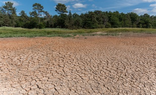 Selon une étude, dans un monde à +2°C, la probabilité de canicules de plus de deux semaines devrait augmenter de 4% en moyenne, avec des risques encore plus importants dans le Nord de l'Asie, le centre de l'Europe et l'est de l'Amérique du Nord. (Illustration)