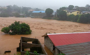 Des coulées de boues ont fait plus de 300 morts à Freetown, au Sierra Leone, selon le Croix-Rouge locale. AFP PHOTO
