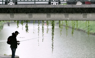 Un pêcheur le long du Canal du Midi, à Toulouse. (Illustration)