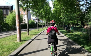 Casque sur la tête, Velhop entre les mains, des adultes prennent des cours de vélo à Strasbourg.