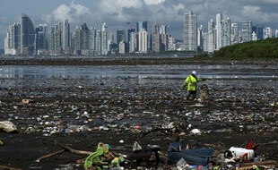 Un homme ramasse des ordures, y compris des déchets plastiques, sur la plage de la Costa del Este, à Panama City, le 19 avril 2021.