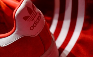 Illustration de chausse de la marque Adidas
